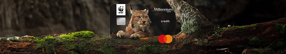 WWF Millennium Mastercard credit card