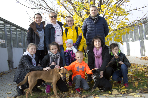 Volunteers in an animal shelter