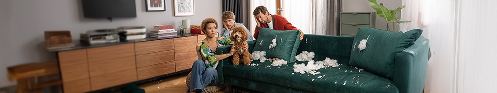 Przyjaciele z psem w domu przy kanapie pogryzionej przez psa.