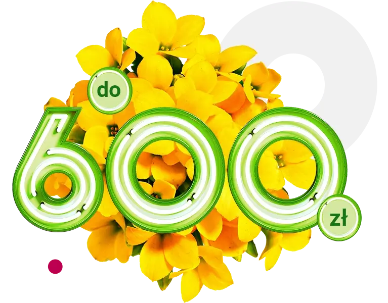 600 zł